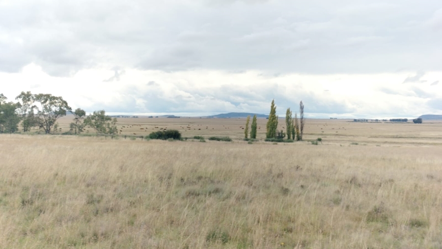 5 Bedroom Property for Sale in Dewetsdorp Rural Free State